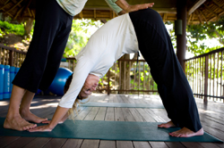 Private Yoga Intake Forms