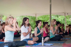 yoga anatomy trainings