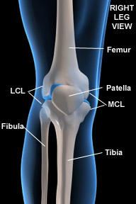 Massage therapy and injury rehab or prevention for knee joint or cap pain and injuries caused to the knee for athletes: MCL, LCL, ACL, PCL. Boulder, Broomfield, Louisville, Westminster, Gunbarrel, Denver.