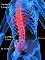 spine-back-pain